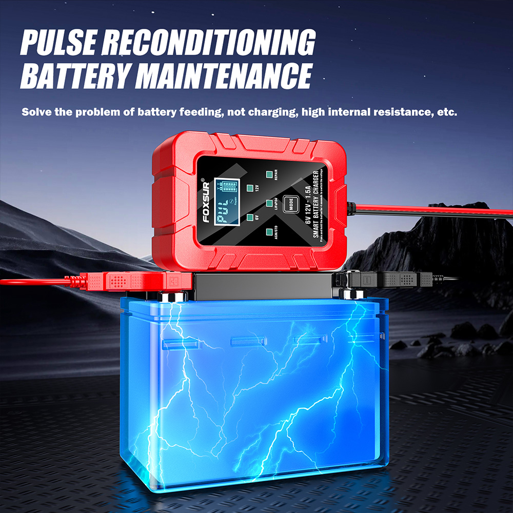 FOXSUR 6V 12V Automatic Smart  - Lifepo4 Battery Charger Smart Automatic recension och pris